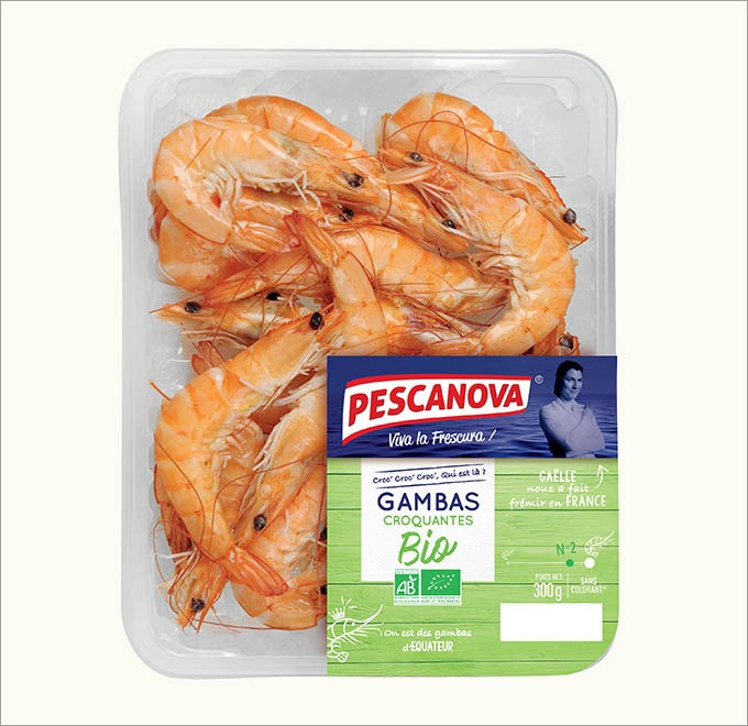 Gambas Bio